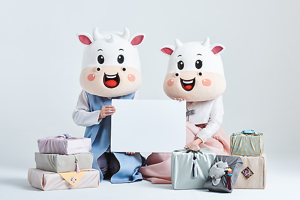 포토 JPG 스튜디오촬영 전신 배너 여자 명절 남자 40대 중년 새해 실내 들기 앉기 20대 성인 두명 앞모습 선물상자 설날 한국인 소띠 소 한복 흰배경 소캐릭터 동물탈 인형탈 2021년 신축년 흰소 국내포토 한국전통 전통 기념일 뷰포인트 동물캐릭터 백그라운드 포유류 모션 선물 사람 동양인 청년 내부 상자 흰색 십이지신 전통의상 연도 탈 파일형식