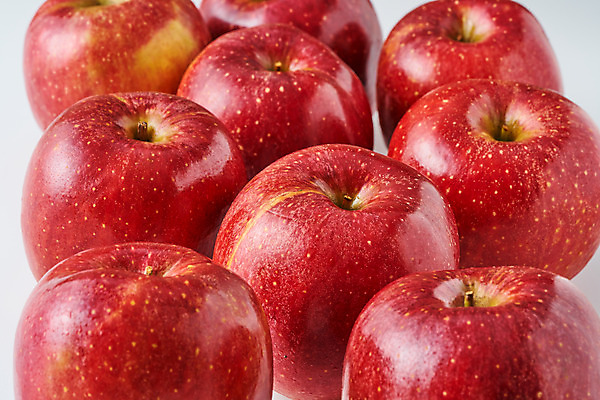 포토 JPG 스튜디오촬영 음식 과일 식재료 실내 근접촬영 사람없음 빨간색 여러개 사과 국내포토 뷰포인트 컬러 다수 내부 파일형식