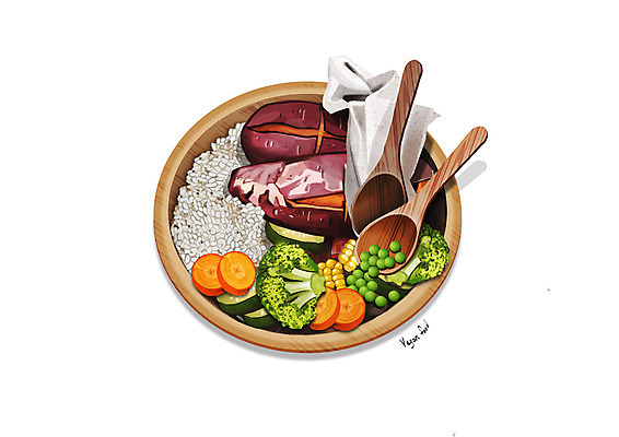 PSD 일러스트 밥 오이 옥수수 사람없음 당근 브로콜리 완두콩 채식 고구마 나무숟가락 콩고기 비건음식 국내일러스트 음식 채소 콩 곡류 뿌리채소 숟가락 파일형식 베지푸드 비건