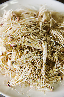 포토 JPG 주간 채소 식재료 실내 사람없음 경상남도 특산물 뿌리 사천 풋마늘 국내포토 자연요소 마늘 내부 경상도 파일형식