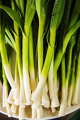 포토 JPG 주간 식재료 실내 사람없음 하이앵글 여러개 경상남도 특산물 사천 마늘종 풋마늘 국내포토 자연요소 뷰포인트 줄기 다수 마늘 내부 경상도 파일형식