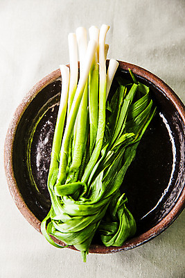 포토 JPG 주간 채소 식재료 회색배경 실내 사람없음 하이앵글 사기그릇 경상남도 특산물 사천 마늘종 풋마늘 국내포토 자연요소 그릇 뷰포인트 줄기 백그라운드 마늘 내부 회색 경상도 파일형식