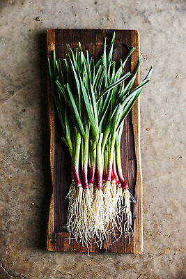 포토 JPG 주간 채소 식재료 바닥 사람없음 야외 하이앵글 경상남도 특산물 나무그릇 사천 풋마늘 국내포토 자연요소 그릇 뷰포인트 마늘 목재 경상도 파일형식