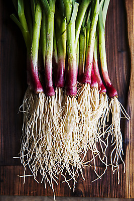 포토 JPG 주간 채소 식재료 사람없음 야외 하이앵글 경상남도 특산물 뿌리 나무그릇 사천 풋마늘 국내포토 자연요소 그릇 뷰포인트 마늘 목재 경상도 파일형식