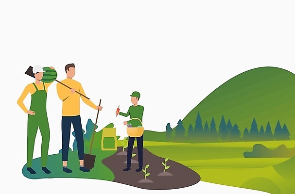 EPS 해외이미지 전신 나무 여자 남자 아들 어린이 농업 일러스트 가족 엄마 수박 서기 들기 소년 성인 야외 세명 연두색 부모 바구니 농사 당근 가족라이프 체험 아빠 삽 농장체험 해외일러스트 식물 라이프스타일 산업 컨셉 과일 관계 모션 뿌리채소 사람 초록색 농장 체험학습 파일형식 벡터