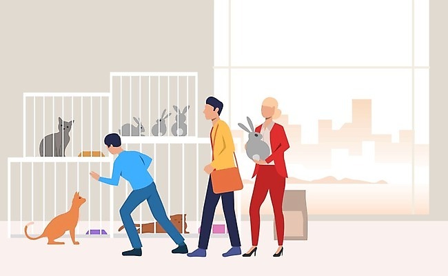 EPS 해외이미지 여자 남자 일러스트 서기 세명 고양이 토끼 동물병원 애견샵 입양 성인만 해외일러스트 포유류 모션 병원 사람 반려동물 파일형식 벡터
