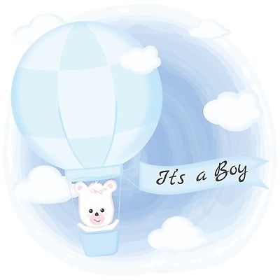 EPS 해외이미지 구름 한마리 동물캐릭터 일러스트 사람없음 귀여움 열기구 아기곰 파스텔톤 애니멀아트 해외일러스트 일러캐릭터 자연요소 동물 캐릭터 1 새끼 컬러 컨셉 곰 항공교통 그림 파일형식 벡터