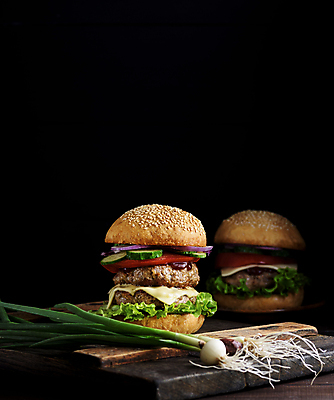 포토 JPG 해외이미지 음식 패스트푸드 사람없음 햄버거 치즈버거 맛있는 해외포토 인스턴트 파일형식