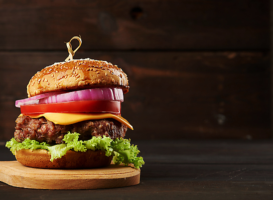 포토 JPG 해외이미지 음식 패스트푸드 사람없음 햄버거 치즈버거 맛있는 해외포토 인스턴트 파일형식