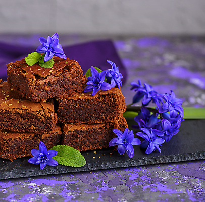포토 JPG 해외이미지 접시 꽃 빵 디저트 사람없음 쌓기 초코케이크 브라우니 맛있는 해외포토 식물 식기 음식 모션 케이크 파일형식