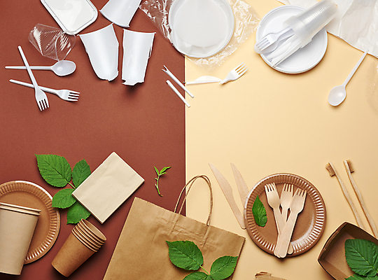포토 JPG 해외이미지 접시 잎 실내 사람없음 재활용 칫솔 종이컵 일회용 플라스틱 친환경 나무포크 갈색배경 해외포토 식물 식기 백그라운드 포크 재질 내부 컵 위생용품 갈색 환경 파일형식