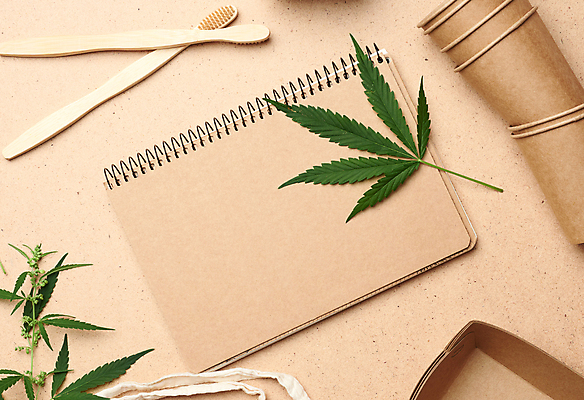 포토 JPG 해외이미지 잎 실내 사람없음 공책 재활용 칫솔 종이컵 일회용 친환경 갈색배경 해외포토 식물 백그라운드 문구용품 내부 컵 위생용품 갈색 환경 파일형식