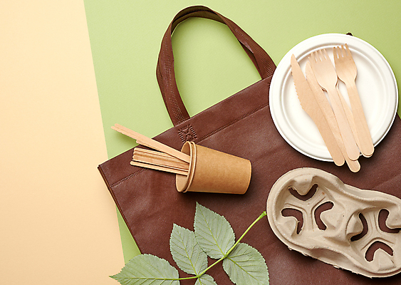 포토 JPG 해외이미지 접시 잎 실내 사람없음 재활용 종이컵 일회용 친환경 에코백 초록배경 해외포토 식물 식기 백그라운드 가방 내부 컵 초록색 환경 에코 파일형식