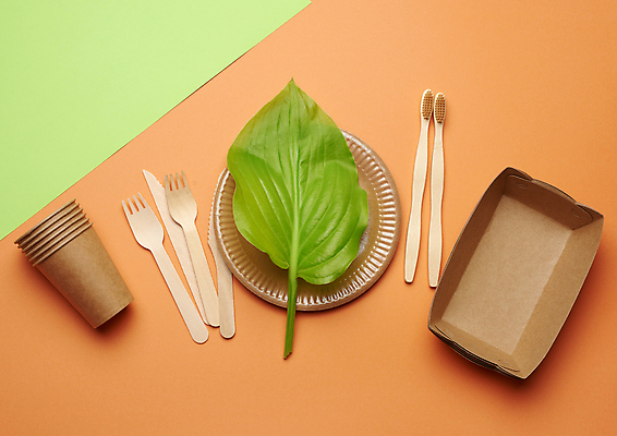 포토 JPG 해외이미지 접시 잎 실내 사람없음 재활용 칫솔 종이컵 일회용 친환경 나무칼 나무포크 주황색배경 해외포토 식물 식기 백그라운드 포크 내부 컵 위생용품 환경 주황색 칼 파일형식