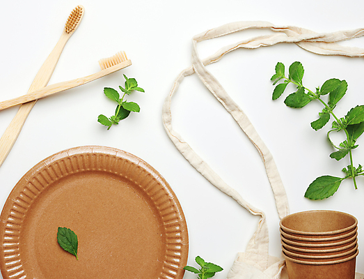 포토 JPG 해외이미지 접시 잎 실내 사람없음 재활용 종이컵 일회용 흰배경 친환경 해외포토 식물 식기 백그라운드 내부 컵 환경 흰색 파일형식