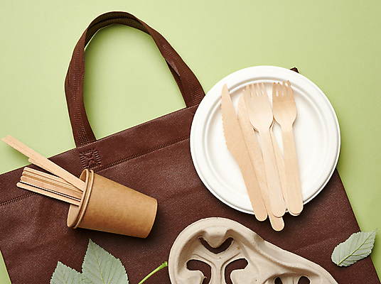 포토 JPG 해외이미지 접시 잎 실내 사람없음 재활용 종이컵 일회용 친환경 나무막대 나무칼 나무포크 에코백 포장용기 초록배경 해외포토 식물 식기 백그라운드 포크 가방 내부 컵 초록색 환경 막대 칼 에코 포장재료 파일형식