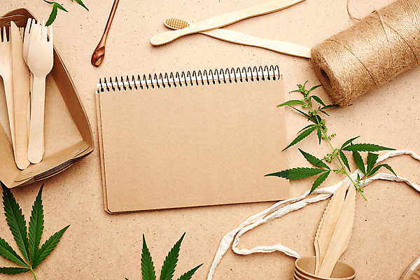 포토 JPG 해외이미지 잎 실내 사람없음 공책 재활용 칫솔 종이컵 일회용 친환경 나무칼 나무포크 갈색배경 해외포토 식물 백그라운드 포크 문구용품 내부 컵 위생용품 갈색 환경 칼 파일형식