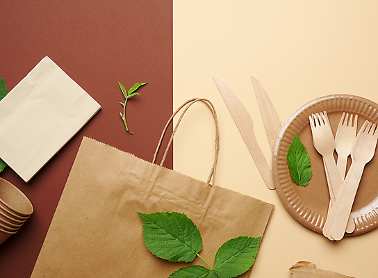 포토 JPG 해외이미지 접시 잎 실내 사람없음 쇼핑백 재활용 종이컵 일회용 친환경 나무포크 갈색배경 해외포토 식물 식기 백그라운드 포크 가방 내부 컵 갈색 환경 파일형식