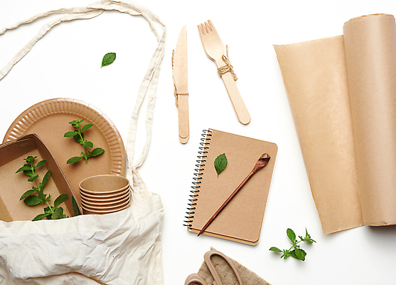 포토 JPG 해외이미지 접시 잎 실내 사람없음 하이앵글 공책 재활용 종이컵 일회용 흰배경 친환경 나무칼 나무포크 에코백 해외포토 식물 식기 뷰포인트 백그라운드 포크 가방 문구용품 내부 컵 환경 흰색 칼 에코 파일형식