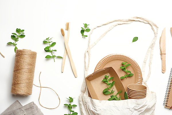포토 JPG 해외이미지 접시 잎 실내 사람없음 재활용 칫솔 종이컵 일회용 흰배경 친환경 나무칼 에코백 해외포토 식물 식기 백그라운드 가방 내부 컵 위생용품 환경 흰색 칼 에코 파일형식