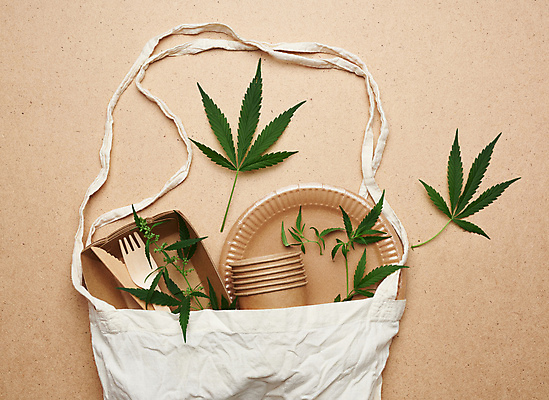 포토 JPG 해외이미지 접시 잎 실내 사람없음 재활용 종이컵 일회용 친환경 나무칼 나무포크 에코백 갈색배경 해외포토 식물 식기 백그라운드 포크 가방 내부 컵 갈색 환경 칼 에코 파일형식