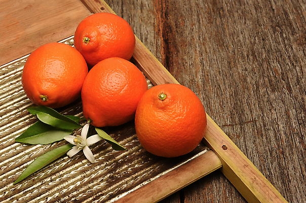 포토 JPG 해외이미지 오렌지 실내 사람없음 나무바닥 해외포토 과일 바닥 내부 파일형식