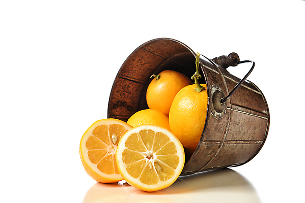 포토 JPG 해외이미지 실내 사람없음 레몬 양동이 흰배경 반쪽 슬라이스 해외포토 백그라운드 과일 내부 흰색 파일형식