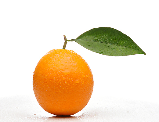 포토 JPG 해외이미지 잎 오렌지 실내 사람없음 흰배경 해외포토 식물 백그라운드 과일 내부 흰색 파일형식