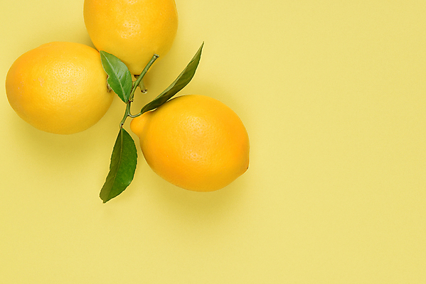 포토 JPG 해외이미지 잎 실내 사람없음 하이앵글 레몬 노란배경 해외포토 식물 뷰포인트 백그라운드 과일 내부 노란색 파일형식