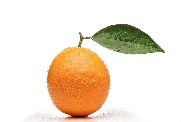 포토 JPG 해외이미지 잎 오렌지 실내 근접촬영 사람없음 흰배경 해외포토 식물 뷰포인트 백그라운드 과일 내부 흰색 파일형식