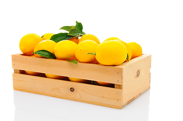 포토 JPG 해외이미지 잎 실내 사람없음 나무상자 레몬 흰배경 담기 해외포토 식물 백그라운드 과일 모션 내부 상자 흰색 파일형식