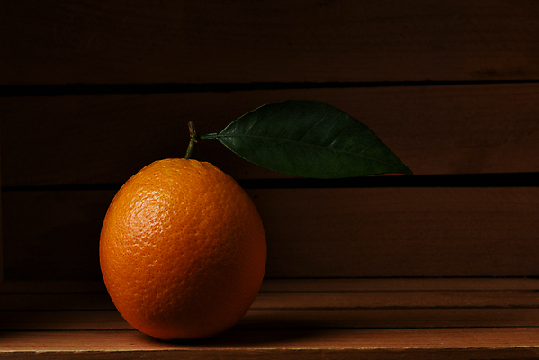 포토 JPG 해외이미지 잎 오렌지 실내 근접촬영 사람없음 어둠 해외포토 식물 뷰포인트 과일 내부 파일형식