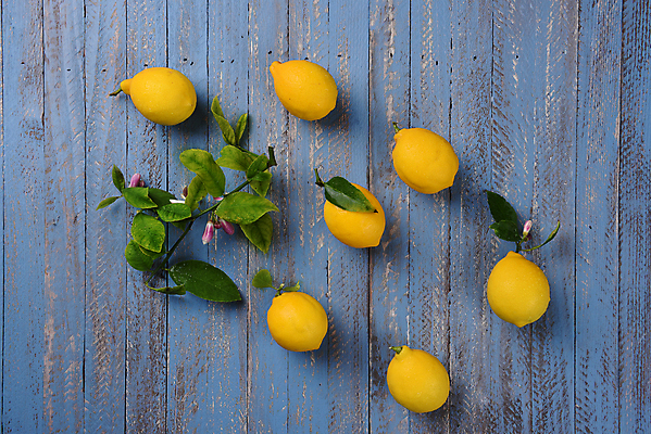 포토 JPG 해외이미지 잎 실내 사람없음 하이앵글 레몬 나무바닥 해외포토 식물 뷰포인트 과일 바닥 내부 파일형식