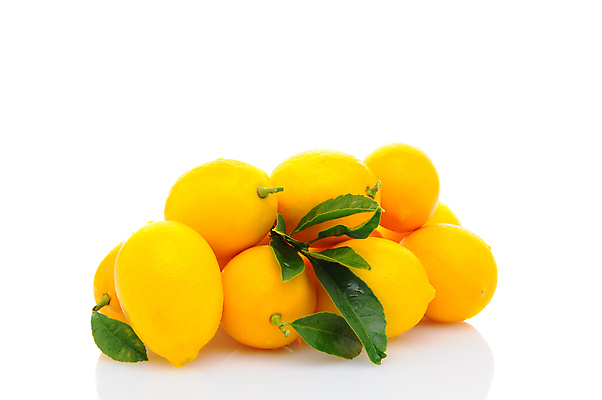 포토 JPG 해외이미지 잎 실내 사람없음 쌓기 레몬 흰배경 해외포토 식물 백그라운드 과일 모션 내부 흰색 파일형식