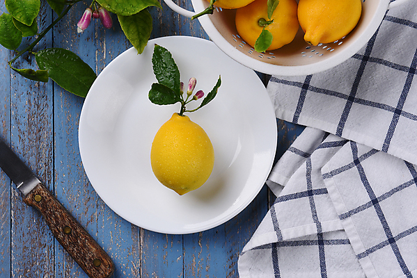 포토 JPG 해외이미지 접시 잎 실내 사람없음 하이앵글 식탁보 칼 레몬 담기 나무바닥 해외포토 식물 식기 뷰포인트 과일 모션 바닥 내부 파일형식