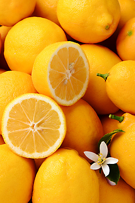 포토 JPG 해외이미지 꽃 단면 실내 사람없음 여러개 레몬 가득함 해외포토 식물 다수 과일 내부 파일형식