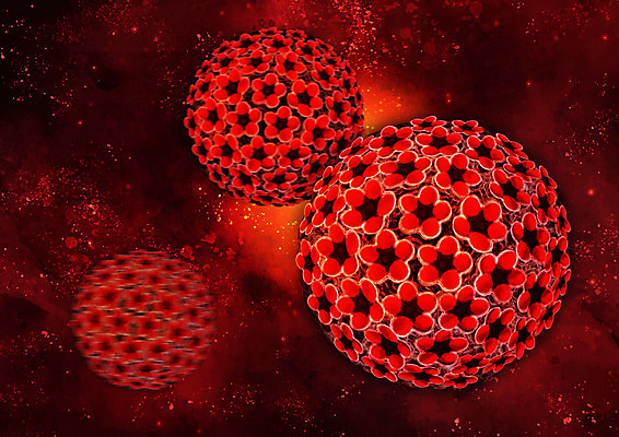 PSD 일러스트 사람없음 빨간색 바이러스 질병 국내일러스트 컬러 의학 파일형식