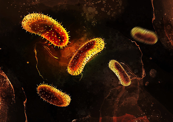 PSD 일러스트 사람없음 노란색 바이러스 질병 국내일러스트 컬러 의학 파일형식