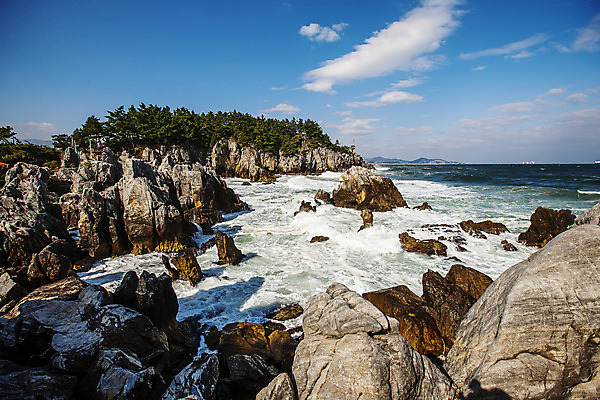 포토 JPG 주간 바다 사람없음 야외 일출 강원도 동해 추암 국내포토 자연요소 한국 노을 바위_돌 파일형식