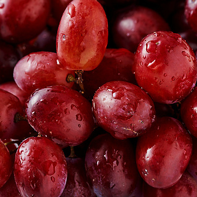 포토 JPG 스튜디오촬영 음식 과일 포도 실내 근접촬영 사람없음 빨간색 물방울 포도알 제철 제철과일 국내포토 뷰포인트 컬러 내부 파일형식