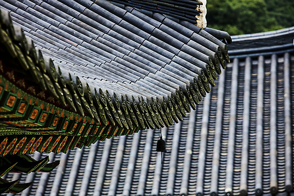 포토 JPG 주간 한국 풍경 사람없음 야외 사찰 전라남도 처마 기와지붕 국내여행 풍경종 영광군 국내포토 자연요소 아시아 여행 종교건축 지붕 기와 종 전라도 파일형식