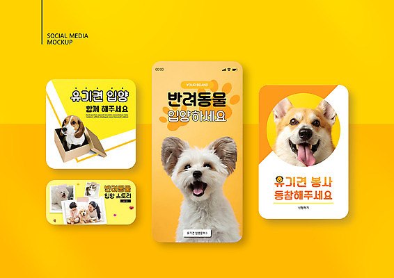 PSD 템플릿 배너템플릿 여자 남자 ZIP 어린이 웹템플릿 여러마리 디자인시안 모바일 소년 20대 성인 두명 스마트폰 반려동물 세트 상자 노란색 고양이 한국인 개 강아지 모바일템플릿 모바일웹 비글 반려 소셜네트워크 소셜미디어 웰시코기 유기견 입양 웹배너 모바일앱 SNS배너 모바일페이지 믹스견 유기동물 이미지템플릿 동물 배너 컬러 다수 포유류 사람 동양인 청년 핸드폰 스마트기기 페이지 파일형식