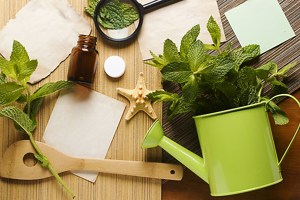 포토 JPG 해외이미지 종이 돋보기 불가사리 실내 사람없음 하이앵글 물뿌리개 민트 공병 나무주걱 나무배경 해외202004 해외202105 해외포토 뷰포인트 백그라운드 극피동물 내부 목재 허브 주걱 병_담는 파일형식