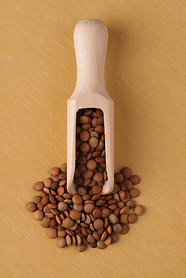 포토 JPG 해외이미지 채소 콩 사람없음 넘어짐 해외202004 해외202105 해외포토 모션 곡류 파일형식