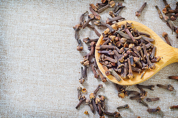 포토 JPG 해외이미지 실내 사람없음 세로 삽 향신료 스타일 해외202004 해외202105 해외포토 내부 향미료 파일형식