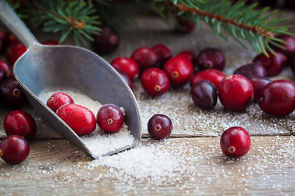 포토 JPG 해외이미지 행복 과일 새해 기념 사람없음 파티 어둠 설탕 전나무 요거트 크랜베리 해외202004 해외202105 해외포토 나무 열매 감정 유제품 이벤트 파일형식