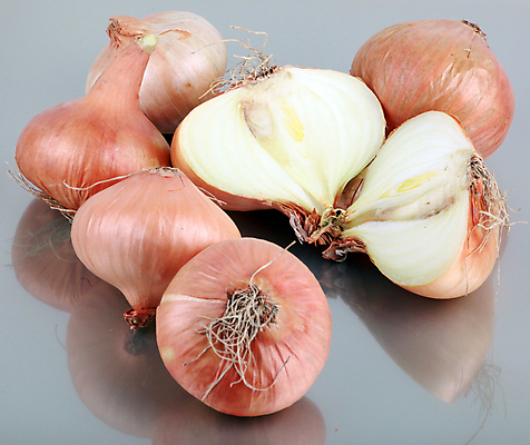 포토 JPG 해외이미지 식재료 회색배경 양파 단면 실내 사람없음 자르기 해외202004 해외202105 해외포토 백그라운드 채소 모션 내부 회색 파일형식