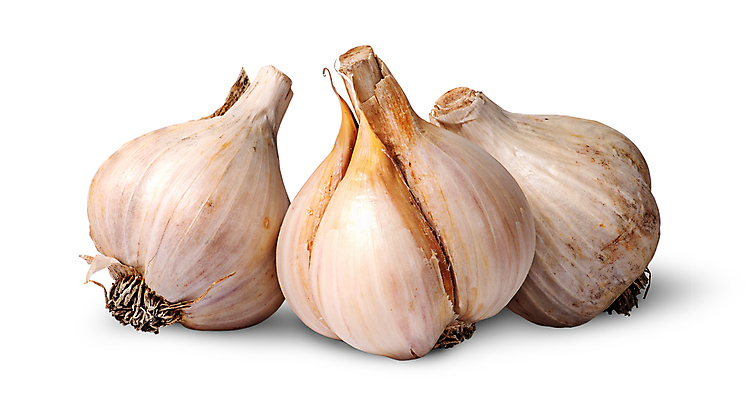 포토 JPG 해외이미지 식재료 실내 마늘 사람없음 흰배경 통마늘 해외202004 해외202105 해외포토 백그라운드 채소 내부 흰색 파일형식