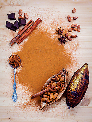 포토 JPG 해외이미지 과일 콩 사람없음 초콜릿 어둠 견과류 붓기 가루 아로마 인도네시아 브라질 코코아 남쪽 카카오 억울 해외202004 해외202105 해외포토 감정 아시아 음료 모션 디저트 곡류 남아메리카 방향 파일형식