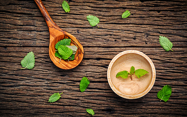 포토 JPG 해외이미지 잎 사람없음 민트 허브 아로마테라피 에센스 해외202004 해외202105 해외포토 식물 화장품 테라피 파일형식